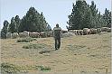 IMG_6721w