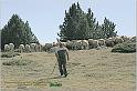 IMG_6722w