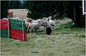 IMG_6740w