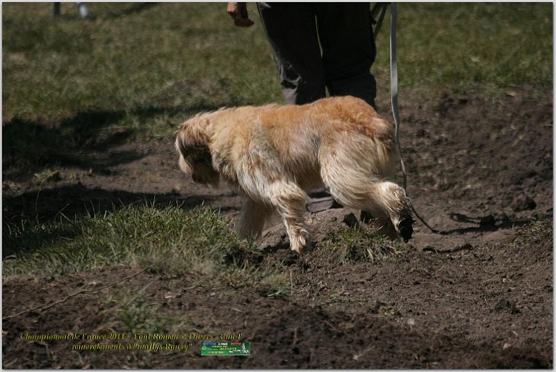 IMG_7860_2w.jpg - IMG_7860.JPG