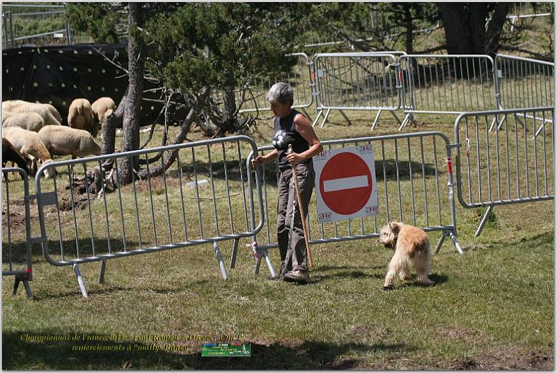 IMG_7863_2w.jpg - IMG_7863.JPG