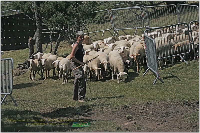 IMG_7864_2w.jpg - IMG_7864.JPG