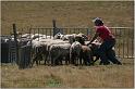 IMG_9141w