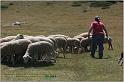 IMG_9146w