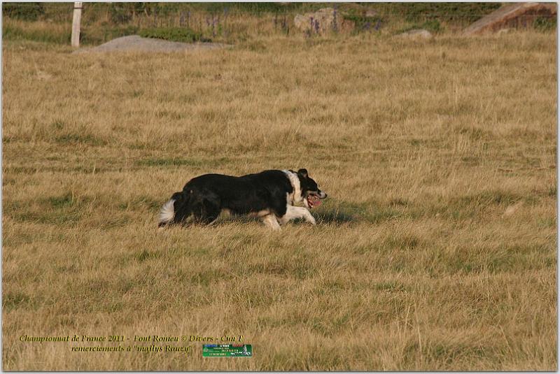 IMG_8512w.jpg