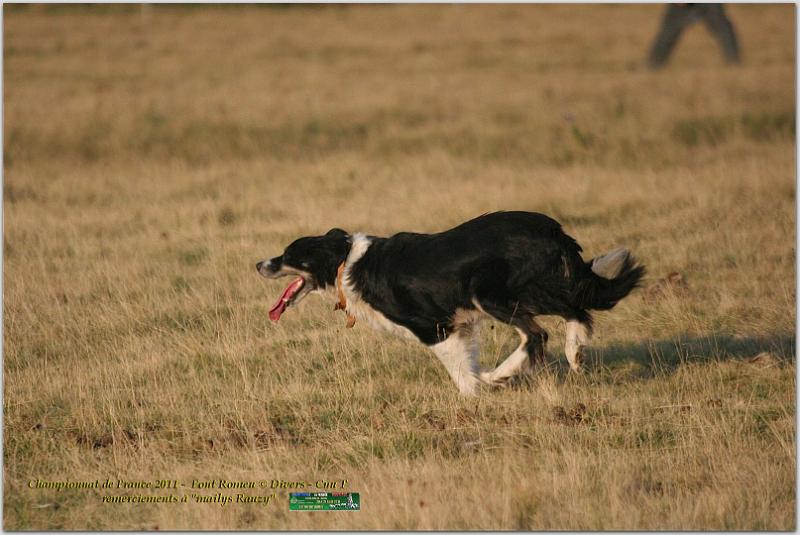 IMG_8534w.jpg
