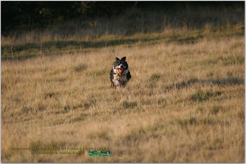 IMG_8537w.jpg