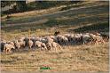 IMG_8539w