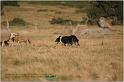IMG_8541w