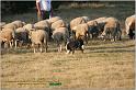 IMG_8545w