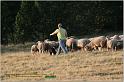 IMG_8547w