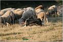 IMG_8548w