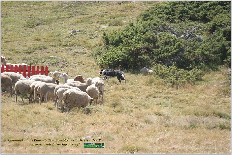 IMG_7831_2w.jpg - IMG_7831.JPG