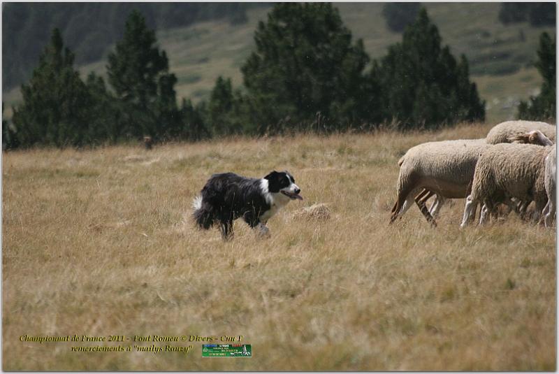 IMG_7838_2w.jpg - IMG_7838.JPG