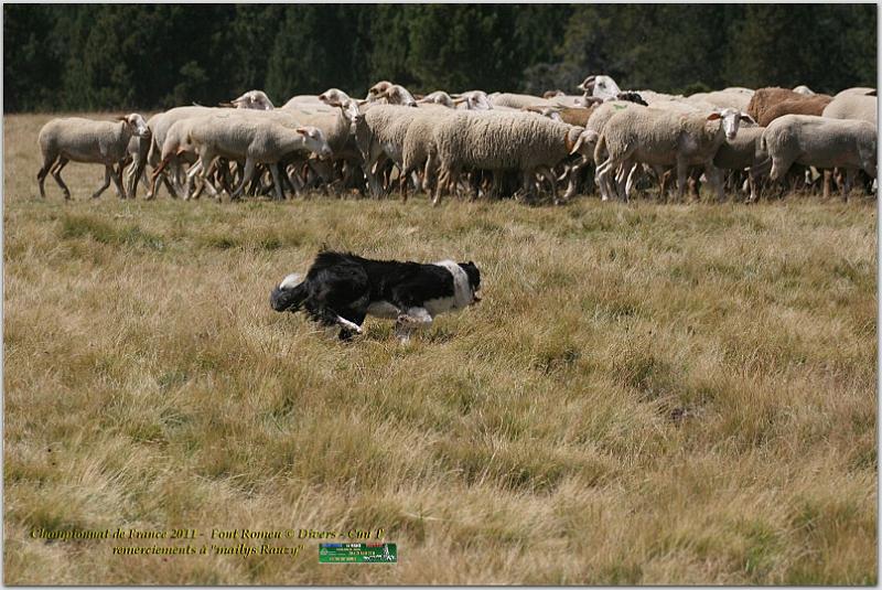 IMG_7839_2w.jpg - IMG_7839.JPG