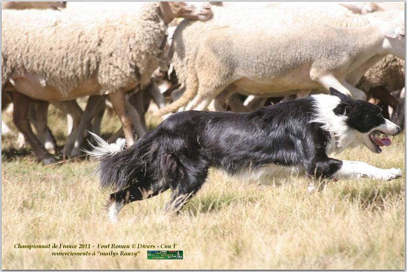 IMG_7843_2w.jpg - IMG_7843.JPG