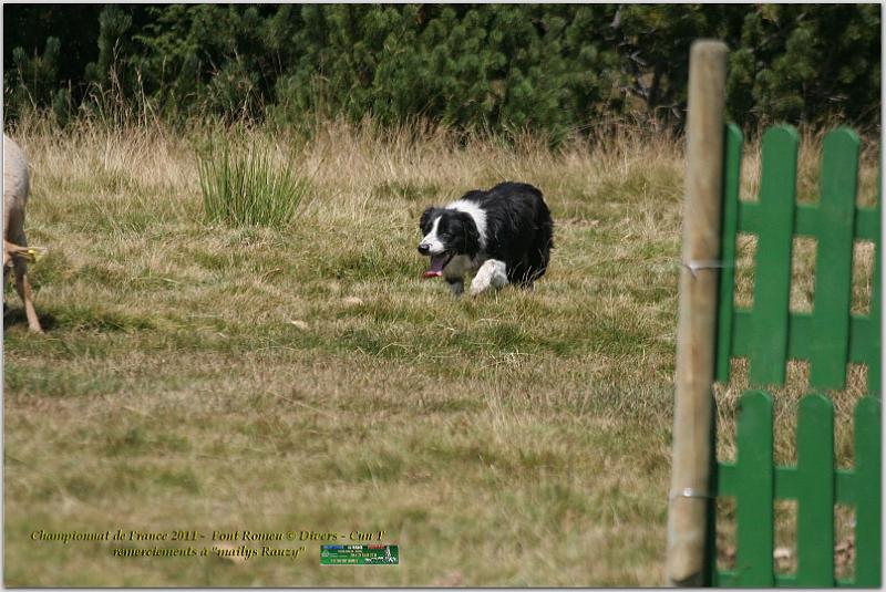 IMG_7846_2w.jpg - IMG_7846.JPG