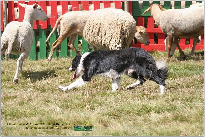 IMG_7848_2w.jpg - IMG_7848.JPG