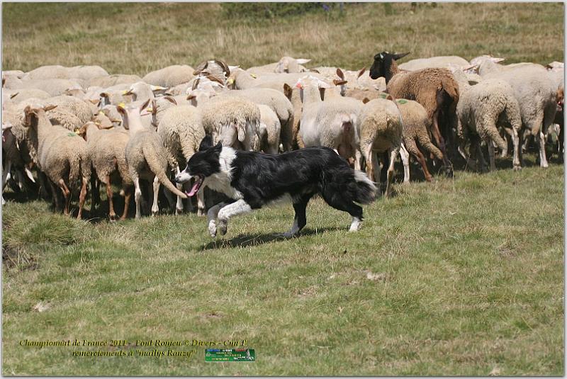 IMG_7850_2w.jpg - IMG_7850.JPG