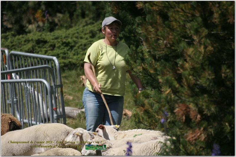 IMG_7854_2w.jpg - IMG_7854.JPG