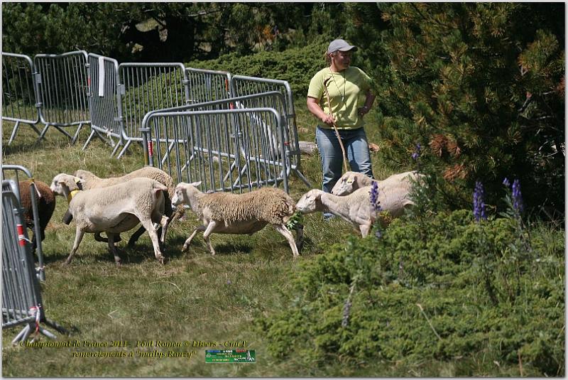 IMG_7856_2w.jpg - IMG_7856.JPG