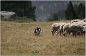 IMG_7837_2w