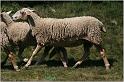 IMG_7852_2w