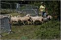 IMG_7855_2w