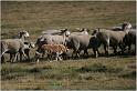 IMG_9546w