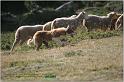 IMG_7251w