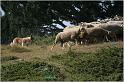 IMG_7252w
