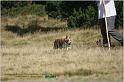 IMG_7279w