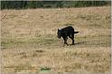 IMG_8753w