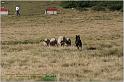 IMG_8761w