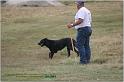 IMG_8153w