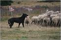 IMG_8160w