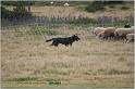 IMG_8167w
