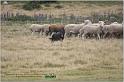 IMG_8168w