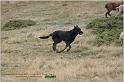 IMG_8174w