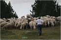 IMG_8184w