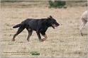 IMG_8203w