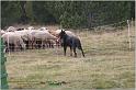 IMG_8209w
