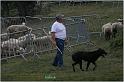 IMG_8217w
