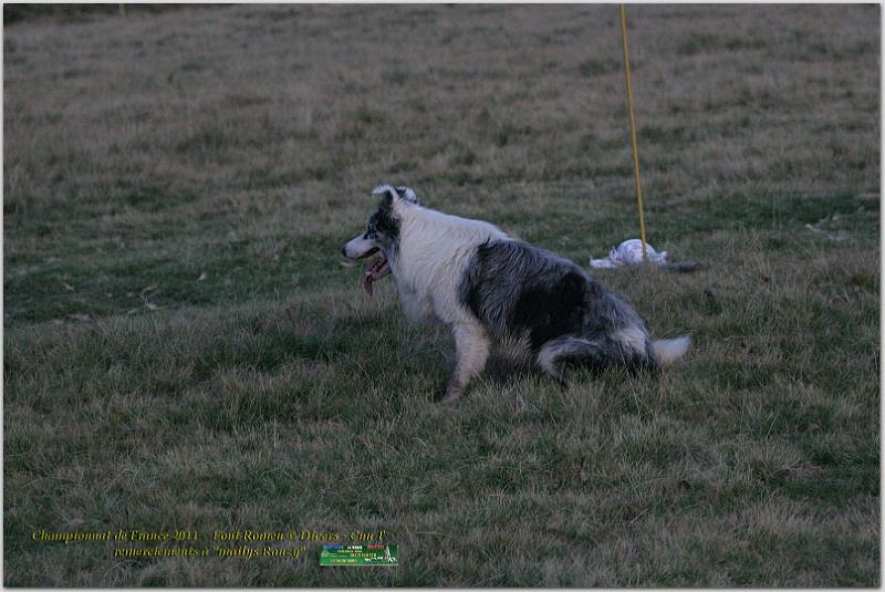 IMG_9874w.jpg