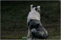 IMG_9858w