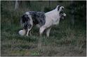 IMG_9870w