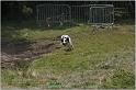 IMG_7951w