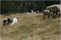 IMG_7984w
