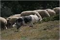 IMG_7990w