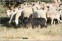 IMG_9567w